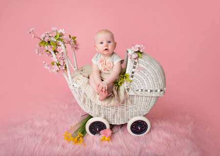 Baby sitting in a stroller pram, pink cherry blossom flowers and backgroundの写真素材