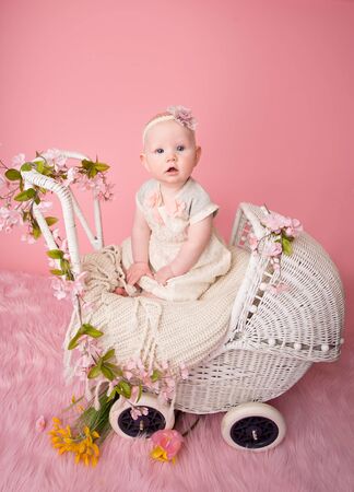 Baby sitting in a stroller pram, pink cherry blossom flowers and backgroundの写真素材