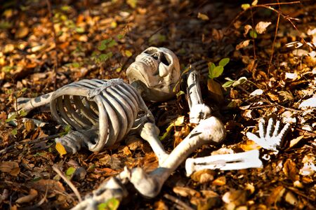 Wild's Halloweenの写真素材