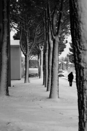 city under the snowの写真素材