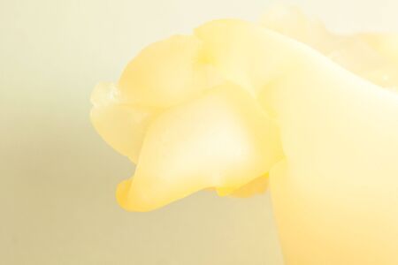 candleの写真素材