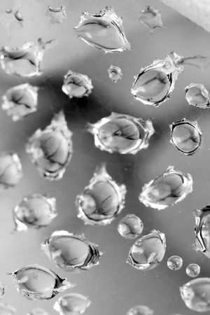 Raindrop on a spider's web black and whiteの写真素材