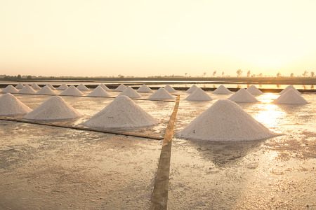 Heap of sea salt in salt farm during sunset in Thailand.の写真素材