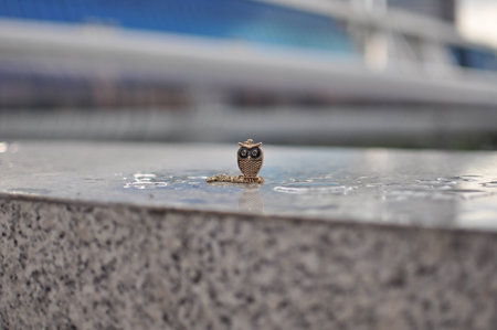 Owl figureの写真素材