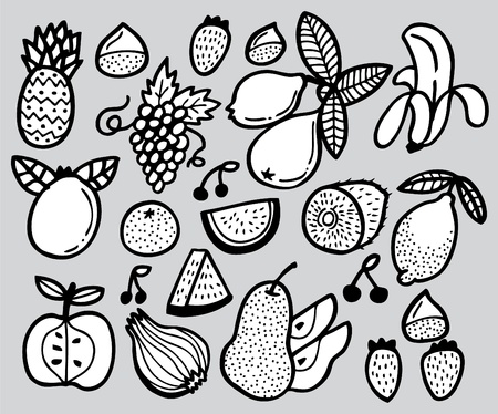hand draw fruitのイラスト素材