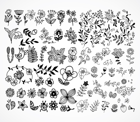 Set of black flower design elements のイラスト素材