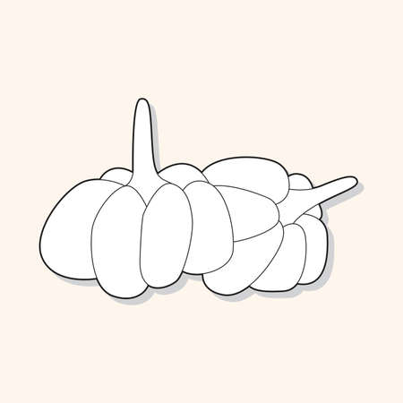 vegetable theme garlic elements vectorのイラスト素材