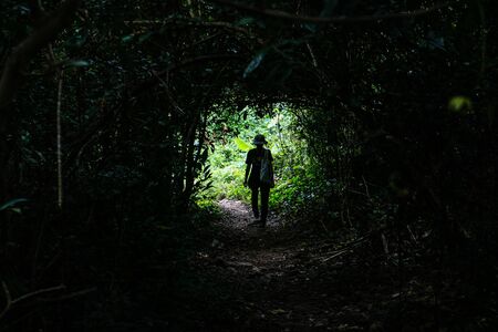 Exit of Forest Tunnel