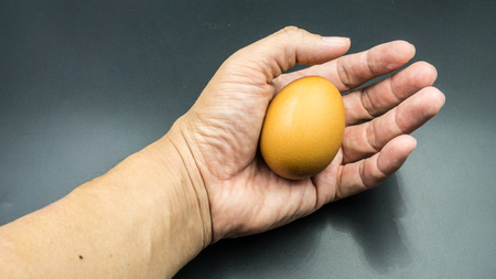 Chicken Egg in Handの写真素材