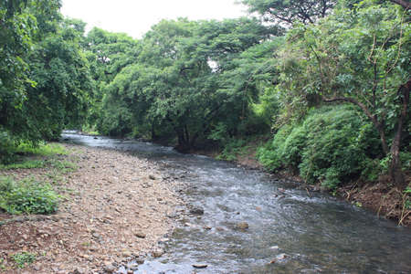 A river is a natural flowing watercourse, usually freshwater, flowing towards an ocean, sea, lake or another river.の写真素材
