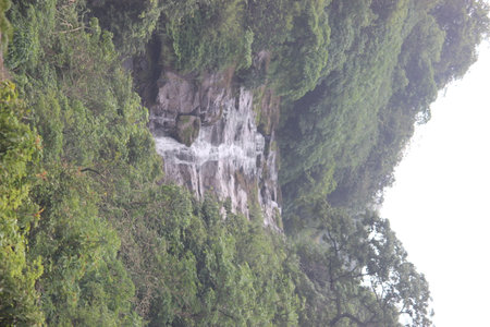 Winter forest, waterfall along Little Laurel Branchの写真素材