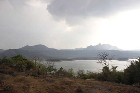 These forests are characterized by a pronounced dry season during part of the yearの写真素材