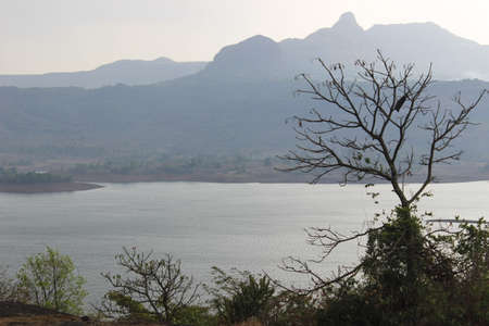 A river is a ribbon-like body of water that flows downhill from the force of gravity.の写真素材