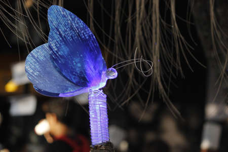 A butterfly is a flying insect with a small body and large, often colorful wingsの写真素材
