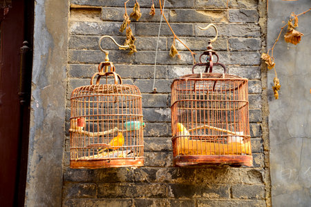 Close-up image of two colourful Chinese ancient birdcages hanging on a grey old brick wallの写真素材