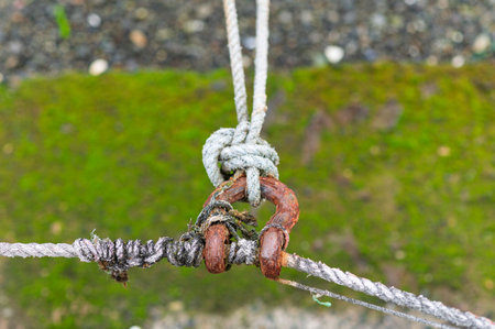Old knot and rusty shackle securing marina ropesの写真素材