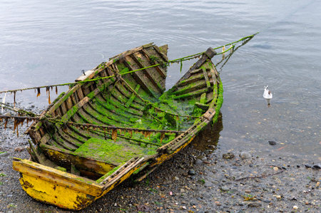 Abandoned wooden vessel wreck along Chile coastの写真素材