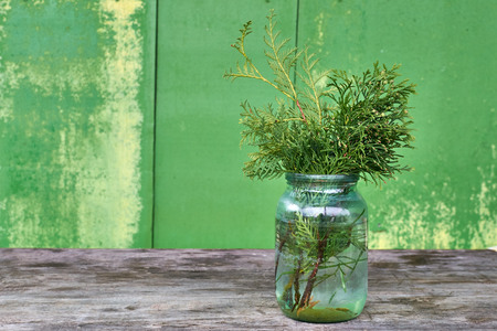 Thuja twigs in a glass jar on the old tableの写真素材