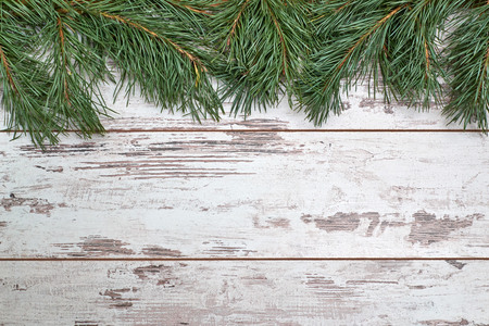 old vintage scratched boards white, decorated pine branches.greeting Christmas background, new year.の写真素材