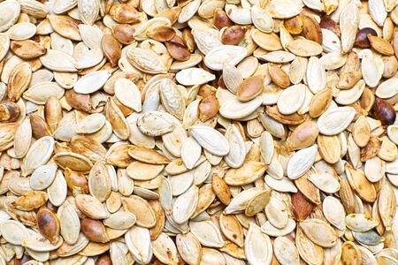 kiln dried pumpkin seeds backgroundの写真素材