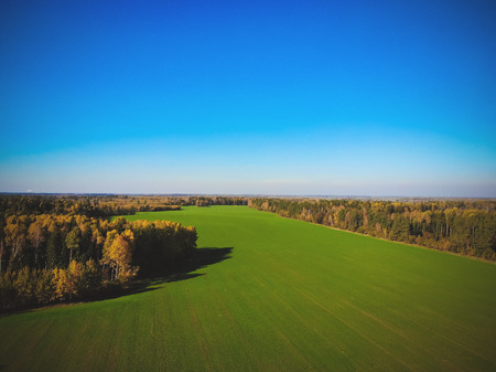 Autumn landscape. Shooting landscape from the air.