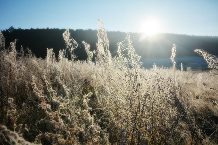 Autumn abstract nature background with grass in the meadow and blue sky in the backの写真素材