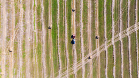 Aerial view of tractor with baler rolling bales of straw on harvested field. Top view.の写真素材