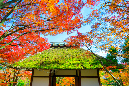 Kyoto, Japan - November 25, 2017 :Jojakko-ji Temple is a famous temple on the main Arashiyama tourist route.のeditorial素材