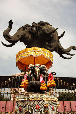 Three-headed elephent の写真素材