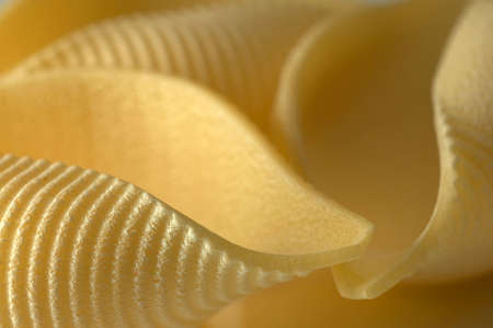 Close up of Conchiglioni Rigate Pasta Uncookedの写真素材