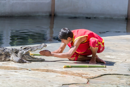 Crocodile show at crocodile farm on NOVEMBER 3, 2013 in Samutprakarn,Thailand. This exciting show is very famous among among tourist and Thai peopleのeditorial素材