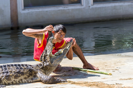 Crocodile show at crocodile farm on NOVEMBER 3, 2013 in Samutprakarn,Thailand. This exciting show is very famous among among tourist and Thai peopleのeditorial素材