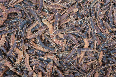 tamarind fruit backgroundの写真素材