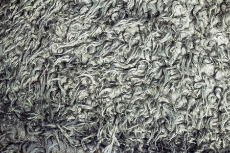 Texture faux fur closeupの写真素材