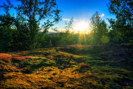 Beautiful Northern nature in summer Sunny dayの写真素材