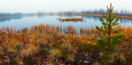 Mist over the lake in the early morning in autumnの写真素材