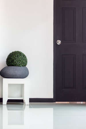 wooden door with tree in the sideの写真素材