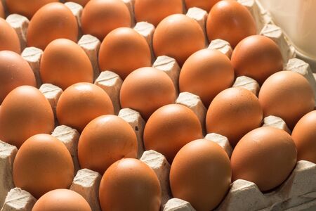 fresh egg food ingredient in the package