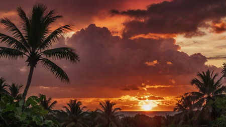 Palm trees and sunset on the island of Bali, Indonesiaの写真素材