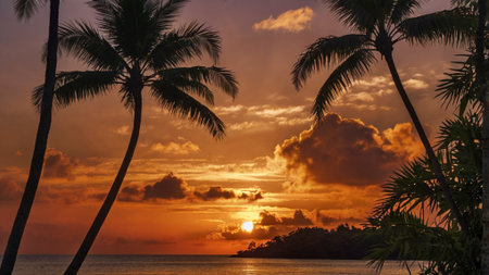Beautiful sunset over the sea with palm trees in the foreground.の写真素材