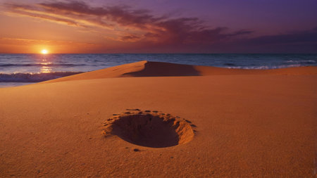 Sunset on the sand dunes of Maspalomas, Gran Canariaの写真素材