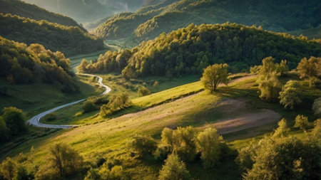 Panoramic view of the valley in the Carpathian mountainsの写真素材