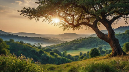 Sunrise in the mountains. Beautiful landscape with a tree in the foreground.の写真素材