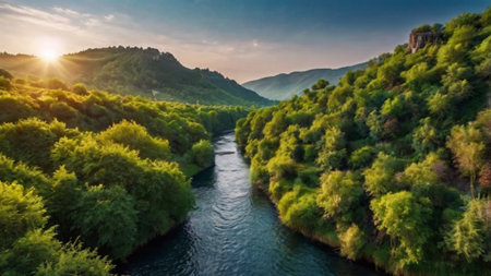 Aerial view of the river flowing through the green forest. Beautiful summer landscape.の写真素材