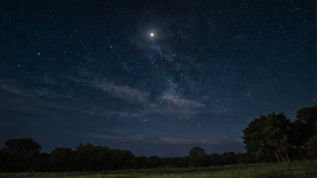 Milky way and stars in the night sky over the field.