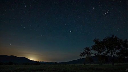 Night sky with stars and milky way over the meadow.