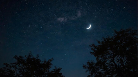 Night sky with stars and the moon. The starry sky.