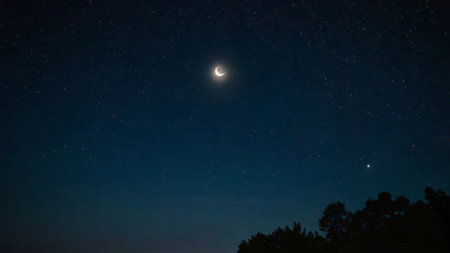 Night sky with stars and the moon. Beautiful night sky with stars.