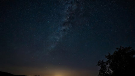 Milky way in the night sky with stars and silhouette of trees
