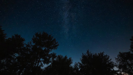 Night sky with stars and milky way over the forest. Long exposure.の写真素材